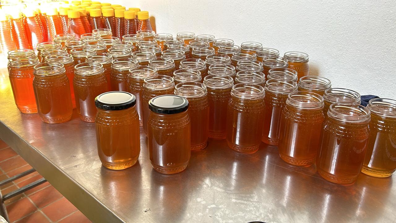 c79d7ffe-72ac-4061-a5ba-b7bd5dca4fc6